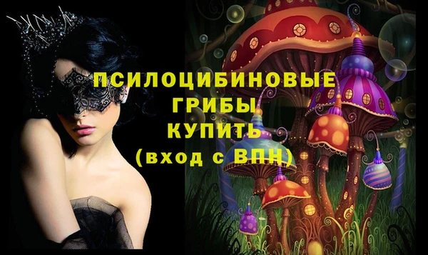 первитин Ельня