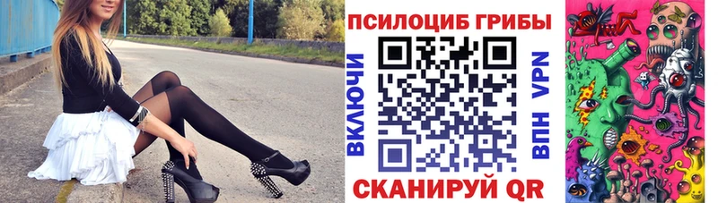 hydra вход  Иланский  Псилоцибиновые грибы Psilocybe 